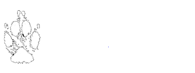 Dogpaw Design